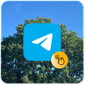 Rejoindre le canal Telegram Arbres du Bonheur