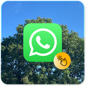 Bouton WhatsApp Arbres du Bonheur - Rejoindre le canal Je donne et Je rayonne