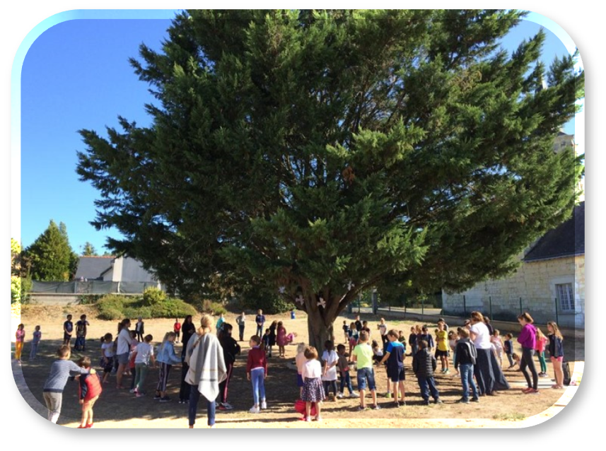 Groupe d'enfants et d'adultes en cercle autour d'un grand arbre dans une cour d'école pour pratiquer le rituel de joie JE donne et JE rayonne
