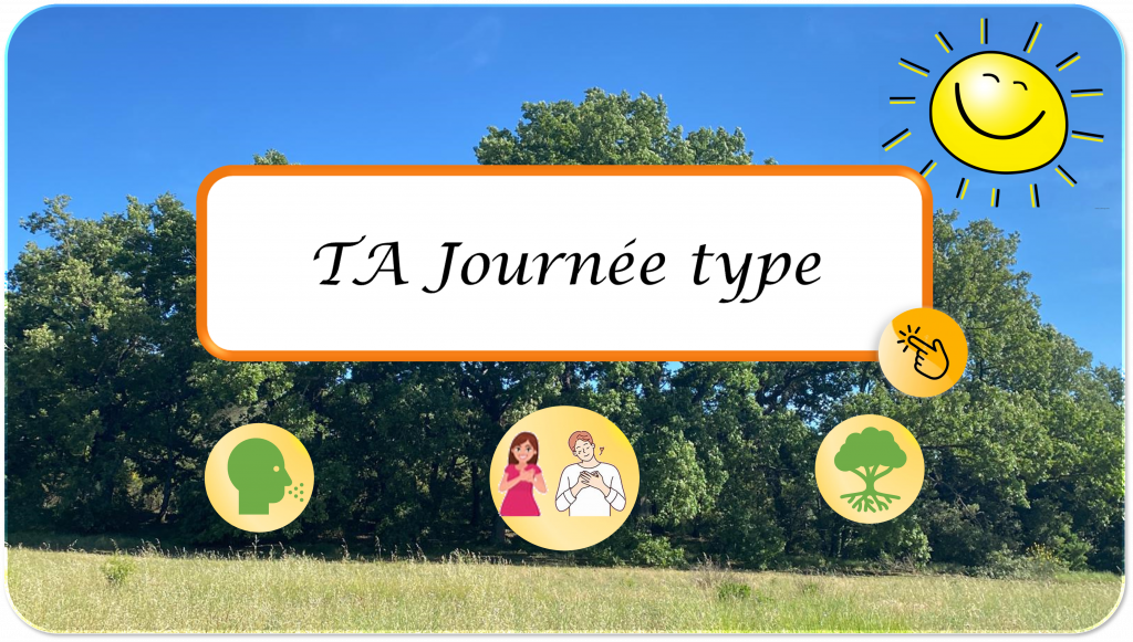 TA Journée type rituels grande forêt soleil - crée ta journée bonheur sur mesure