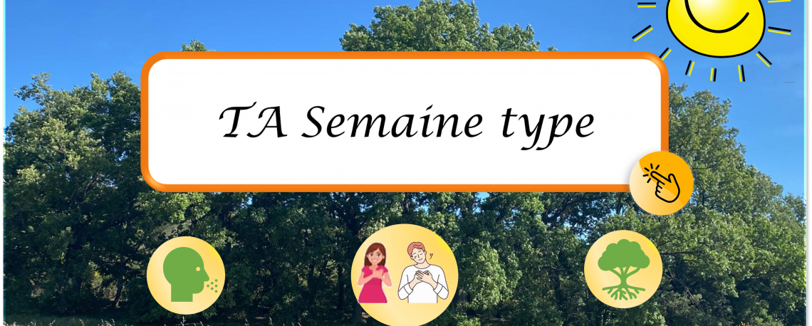 TA Semaine type 7 rituels simples pour donner et rayonner dans la grande forêt et le soleil