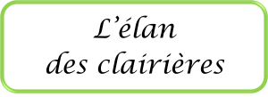 Bannière blanche à bordure verte avec texte en écriture cursive noire L'élan des clairières - L'élan des clairières