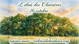 L'élan des Clairières du 16 octobre - clairière lumineuse au lever du soleil avec arbres verts et prairie fleurie - arbresdubonheur.org