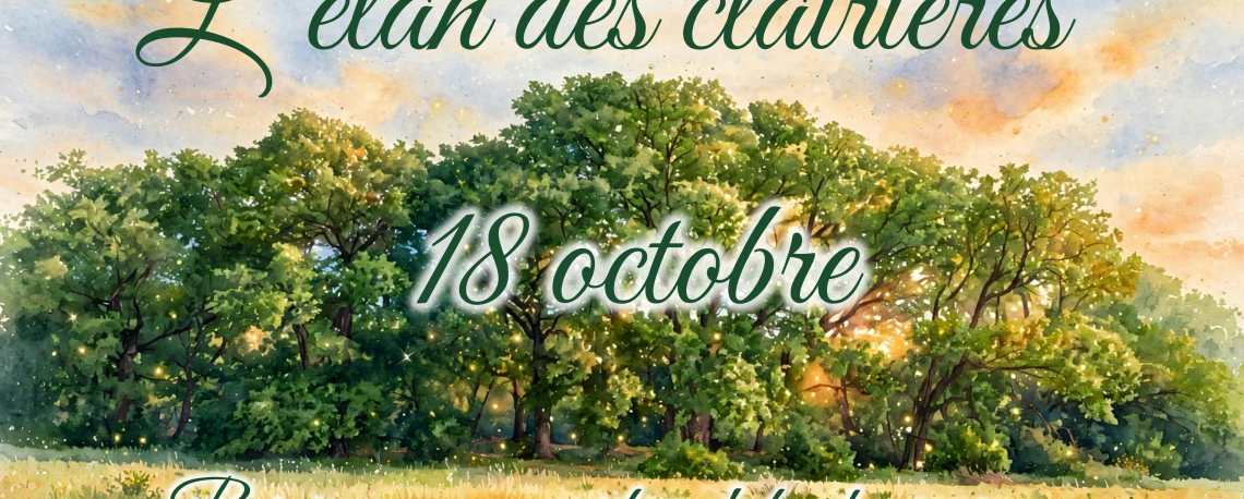 L'élan des Clairières du 18 octobre - clairière lumineuse au lever du soleil avec arbres verts et prairie fleurie - arbresdubonheur.org