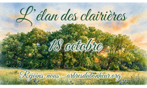 L'élan des Clairières du 18 octobre - clairière lumineuse au lever du soleil avec arbres verts et prairie fleurie - arbresdubonheur.org